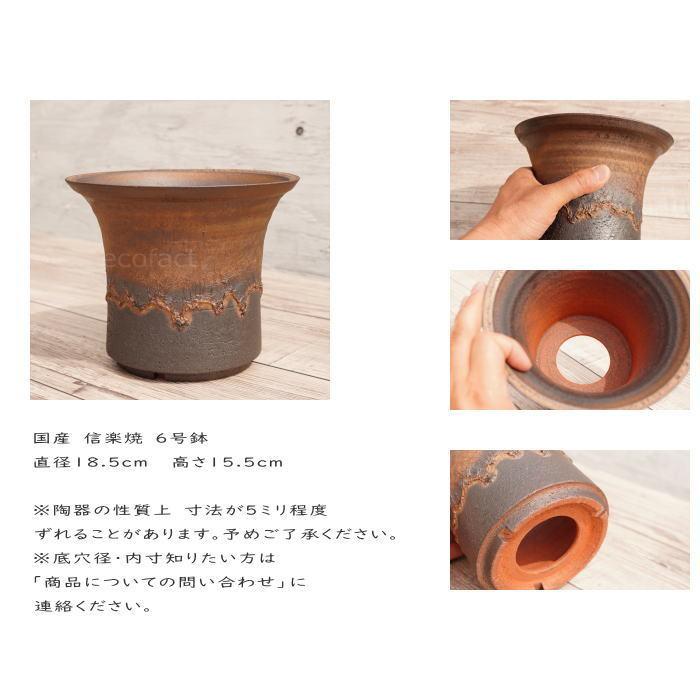 陶器鉢 植木鉢 6号 大深ソリ型 金彩 ゴールド/ブラック プランター