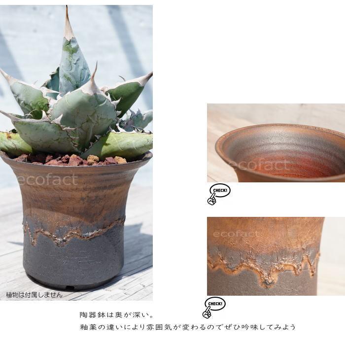 陶器鉢 植木鉢 6号 大深ソリ型 金彩 ゴールド/ブラック プランター