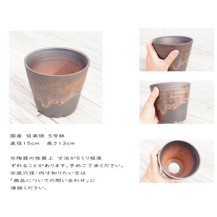 陶器鉢 植木鉢 5号 深ソリ型 金彩 ゴールド/ブラック プランター 園芸