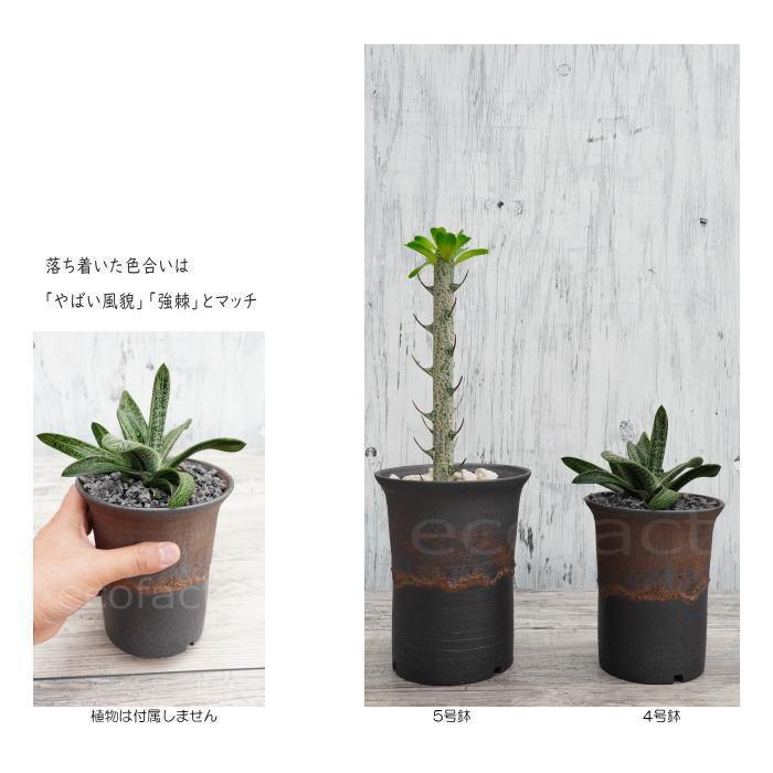 陶器鉢 植木鉢 5号 ラッパ型 金彩 ゴールド/ブラック おしゃれ