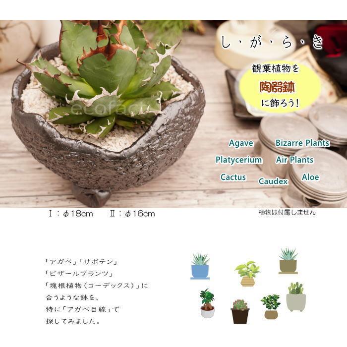 陶器鉢 植木鉢 RAIZO2 φ16cm ガンメタリック 黒 脚付き おしゃれ 陶器鉢 植木鉢 RAIZO2 φ16cm ガンメタリック 黒 脚付き おしゃれ