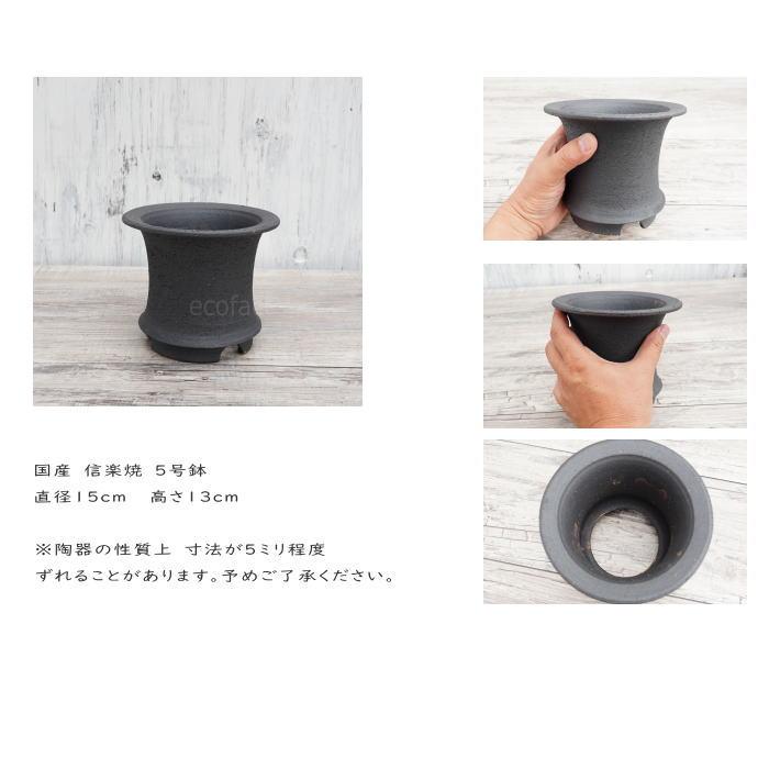 陶器鉢 植木鉢 5号 底穴あり 艶消黒高脚 ブラック サナ無し 陶器鉢 植木鉢 5号 底穴あり 艶消黒高脚 ブラック サナ無し