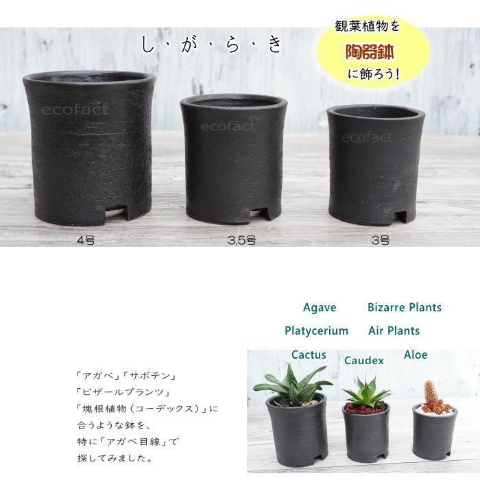 陶器鉢 植木鉢 3.5号 筒型 艶消し 黒 ブラック おしゃれ プランター