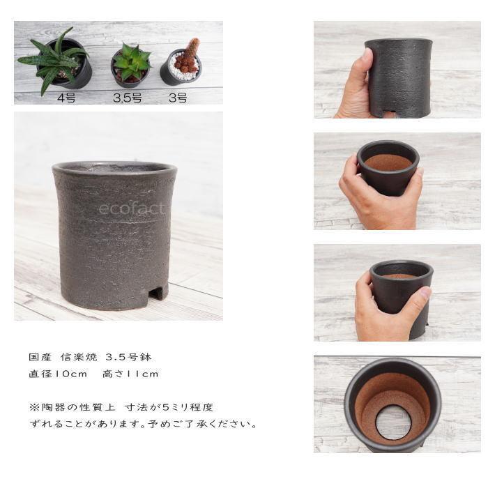 陶器鉢 植木鉢 3 5号 筒型 艶消し 黒 ブラック おしゃれ プランター 園芸鉢 信楽焼 しがらきやき かみ山陶器 アガベポット Y エリア27 通販 Yahoo ショッピング