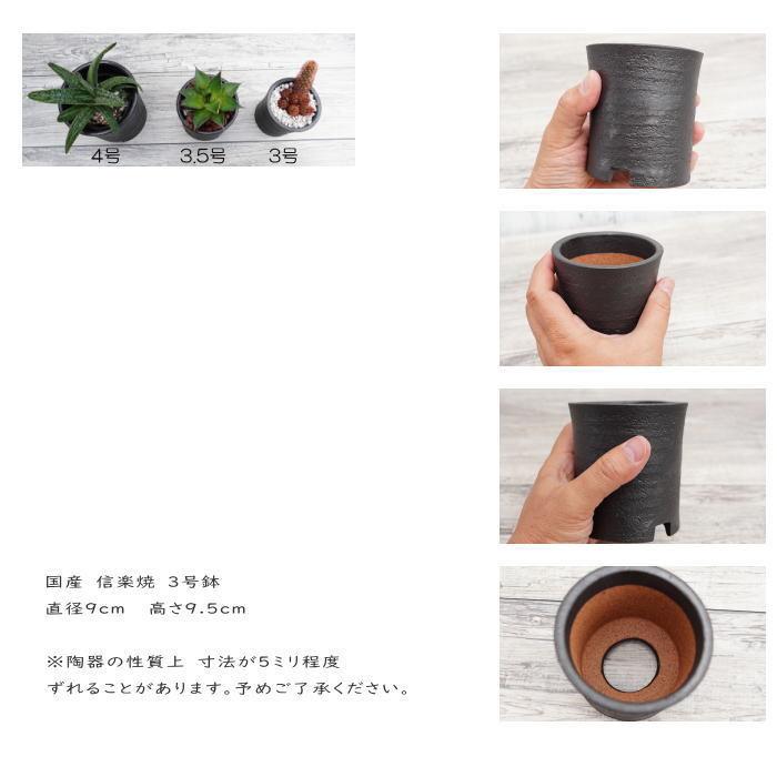 陶器鉢 植木鉢 3号 筒型 艶消し 黒 ブラック おしゃれ プランター 園芸
