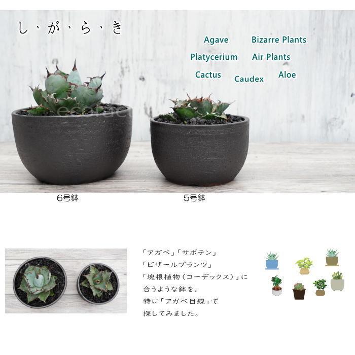 陶器鉢 植木鉢 6号 丸型 艶消し 黒 ブラック おしゃれ 陶器鉢 植木鉢 6号 丸型 艶消し 黒 ブラック おしゃれ