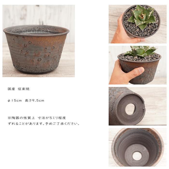 陶器鉢 植木鉢 5号 クレーターポット 中深 おしゃれ プランター 陶器鉢 植木鉢 5号 クレーターポット 中深 おしゃれ プランター