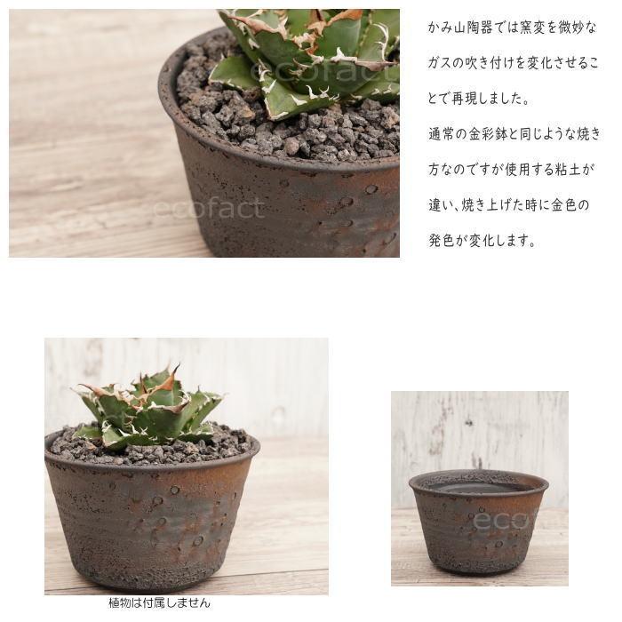 陶器鉢 植木鉢 5号 クレーターポット 中深 おしゃれ プランター 陶器鉢 植木鉢 5号 クレーターポット 中深 おしゃれ プランター