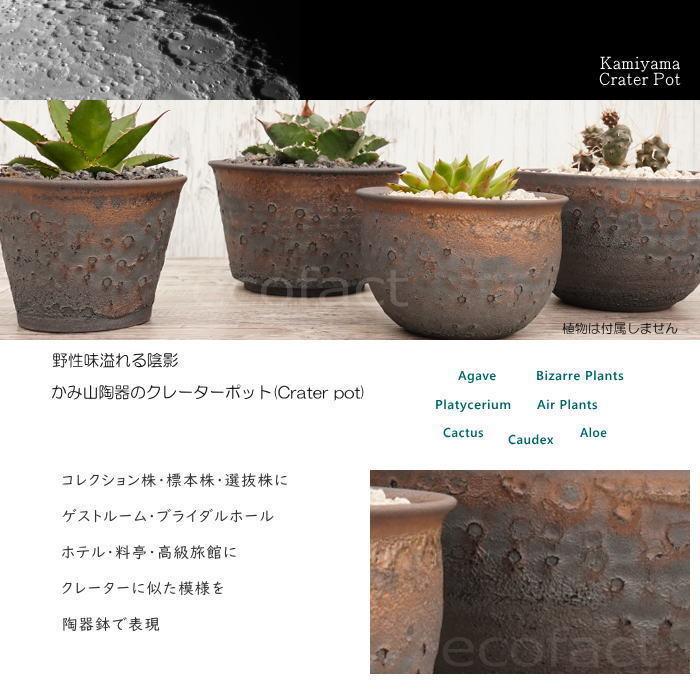 カタチ製作所 クレーター　陶器鉢　L 希少モデル カタチ製作所 鉢