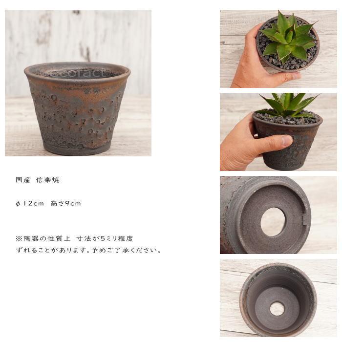 陶器鉢 植木鉢 4号 クレーターポット 中深 おしゃれ プランター 園芸鉢
