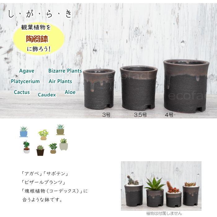 陶器鉢 植木鉢 3号 筒型 金彩 ゴールド/ブラック おしゃれ プランター