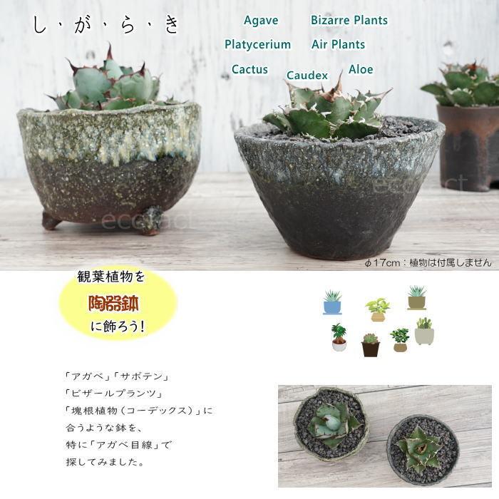 陶器鉢 植木鉢 φ17cm 青窯変ソリ ブルー系 おしゃれ プランター 園芸鉢