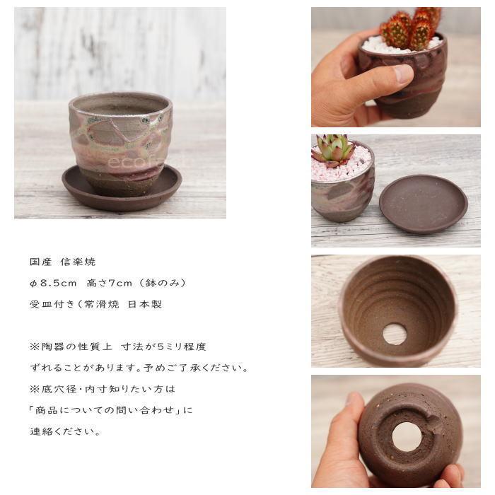 陶器鉢 植木鉢 小鉢 底穴あり 鉄釉丸（ガンメタ）φ8.5cm 受皿付き