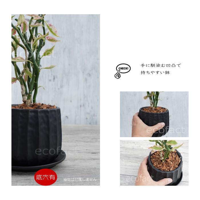 陶器鉢 植木鉢 おしゃれ 陶器鉢 アンティークラインポット YS0584-200 7