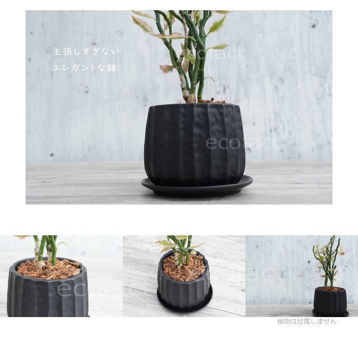 おしゃれ フラワーポット 陶器鉢 植木鉢 ミニポット リベロ黒マットM
