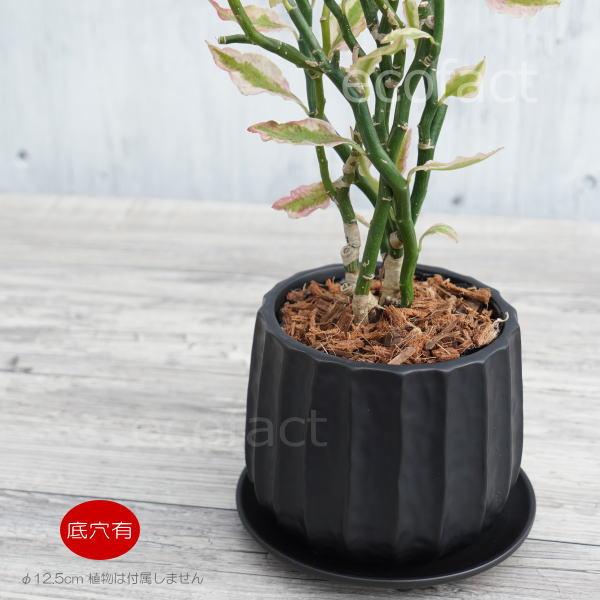 人工観葉植物 約150cm 黒ポット 楽天市場】【送料無料】〈AQUA PLANTPOT〉HACHI (玉) ソーサー付