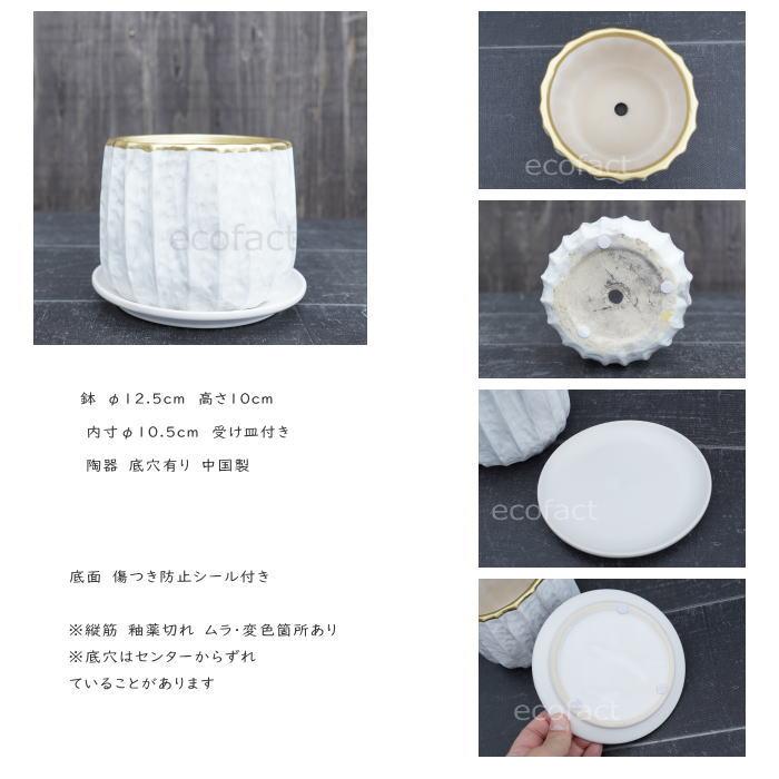 ホワイト フラワーポット型陶器 ホワイト フラワーポット型陶器