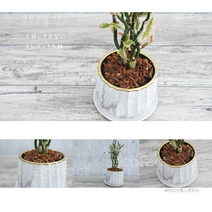 おしゃれ フラワーポット 陶器鉢 植木鉢 ミニポットリベロ ゴールド白