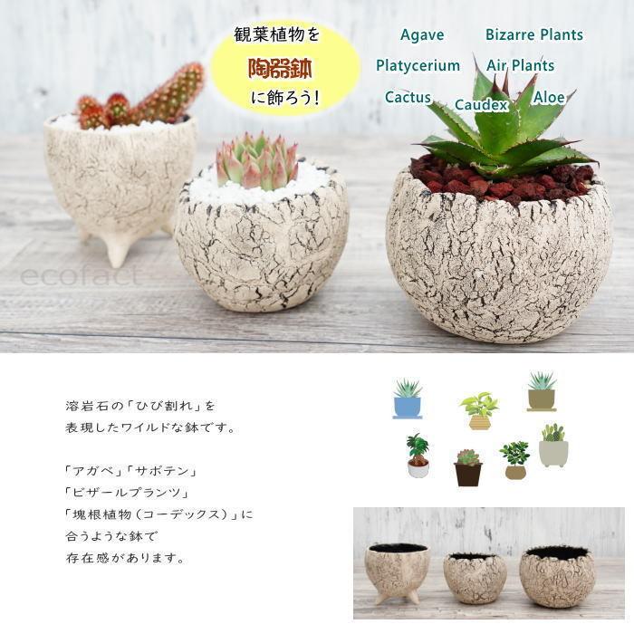陶器鉢 植木鉢 ミニポット 老松S 足付 φ10cm おしゃれ かわいい