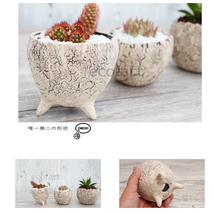 陶器鉢 植木鉢 ミニポット 老松S 足付 φ10cm おしゃれ かわいい