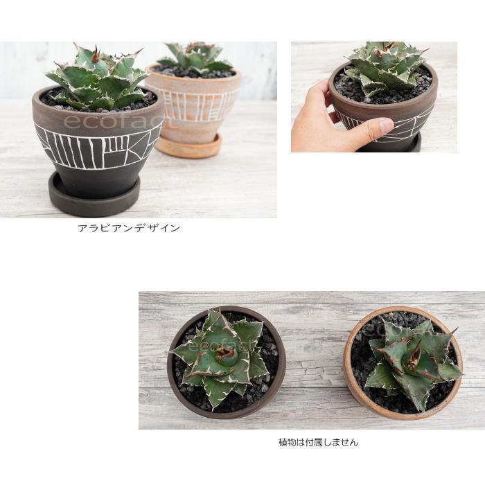陶器鉢 植木鉢 ミニポット ミラベル 黒 マットブラック φ15.5cm