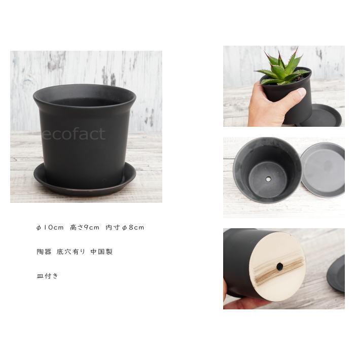 陶器鉢 植木鉢 ミニポット Zz 黒ブラック F10cm 皿付 おしゃれ かわいい プランター 園芸鉢 観葉植物 Y エリア27 通販 Yahoo ショッピング