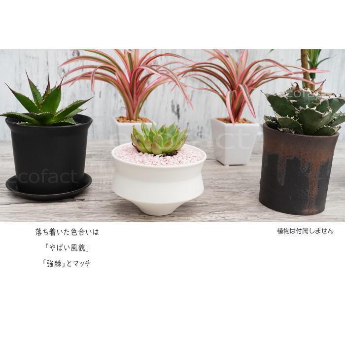 陶器鉢 植木鉢 ミニポット ZZ 黒ブラック φ10cm 皿付 おしゃれ