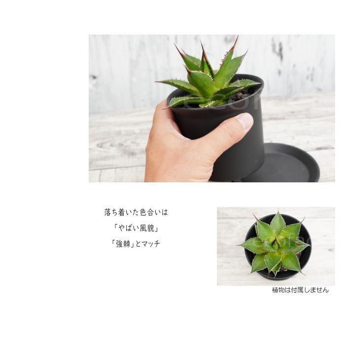 陶器鉢 植木鉢 ミニポット ZZ 黒ブラック φ10cm 皿付 おしゃれ