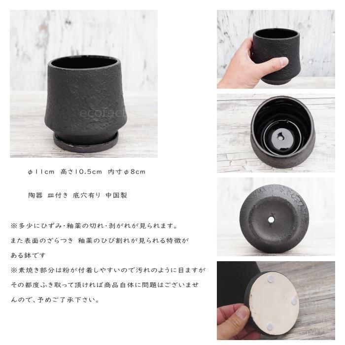 陶器鉢 植木鉢 ミニポット オルガM ブラック 黒 マットブラック φ11cm