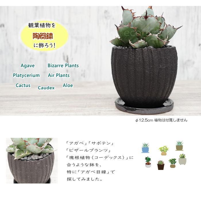 陶器鉢 植木鉢 ミニポット 底穴あり エレンL ブラック 黒 マット 陶器鉢 植木鉢 ミニポット 底穴あり エレンL ブラック 黒 マット