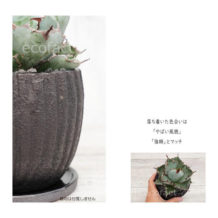 陶器鉢 植木鉢 ミニポット 底穴あり エレンL ブラック 黒 マット 陶器鉢 植木鉢 ミニポット 底穴あり エレンL ブラック 黒 マット