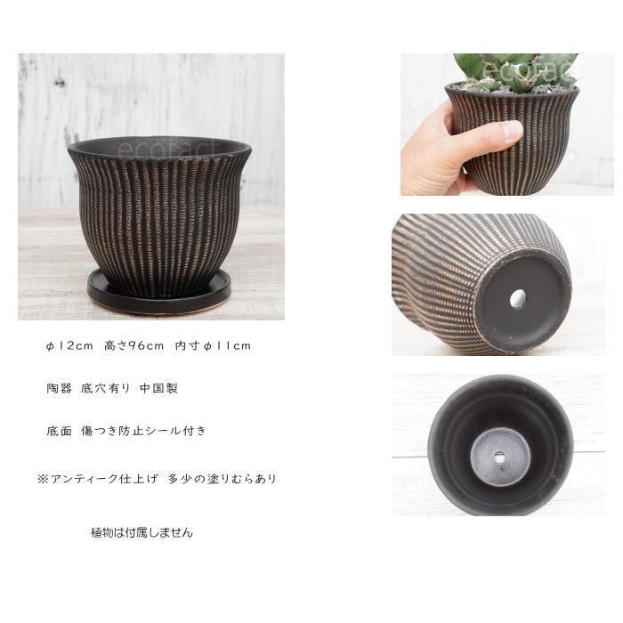 植木鉢 陶器製 ブラック 鉢（大） 底穴あり 陶器鉢 植木鉢 ミニポット 底穴あり マングリッドM 黒金 マット