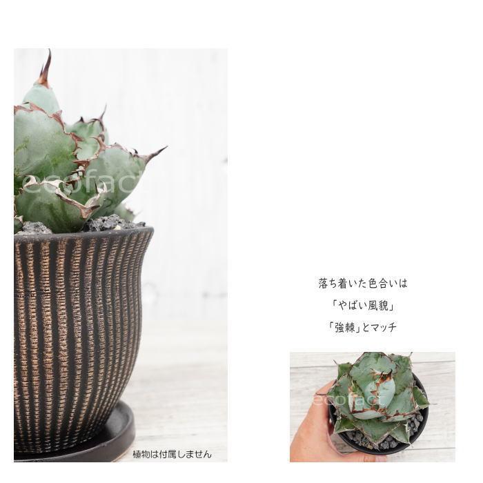 陶器鉢 植木鉢 ミニポット 底穴あり マングリッドM 黒金 マット