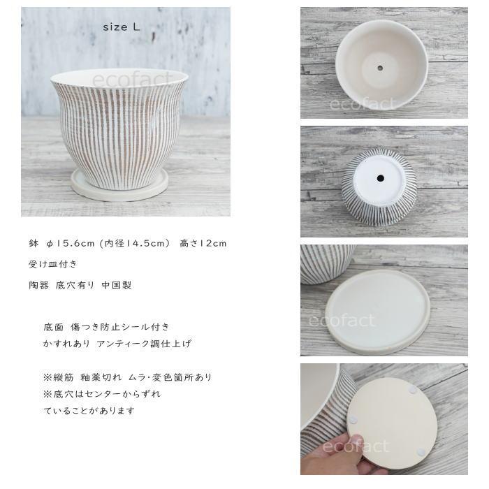 フラワーポット 植木鉢 おしゃれ 陶器鉢 ミニポット 底穴あり マル