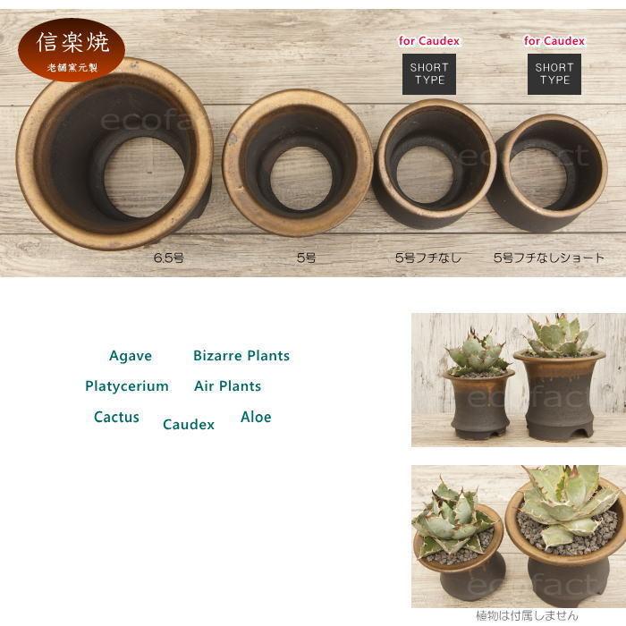 陶器鉢 植木鉢 6.5号 底穴あり 金彩高脚 ブラック サナなし 園芸鉢