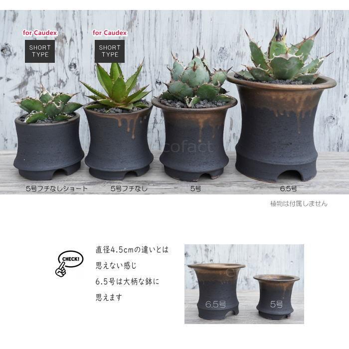 陶器鉢 植木鉢 6.5号 底穴あり 金彩高脚 ブラック サナなし 園芸鉢