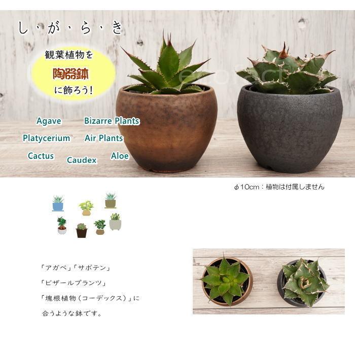 陶器鉢 植木鉢 小鉢 底穴あり MATPOT マットポットS マットブラック 艶