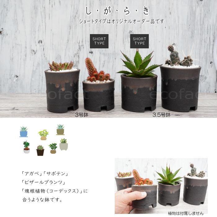 未使用品　信楽焼き　大きな　ダックスフント　器　陶器　プランター　鉢　釉薬 未使用品 信楽焼き 大きな ダックスフント 器 陶器 プランター