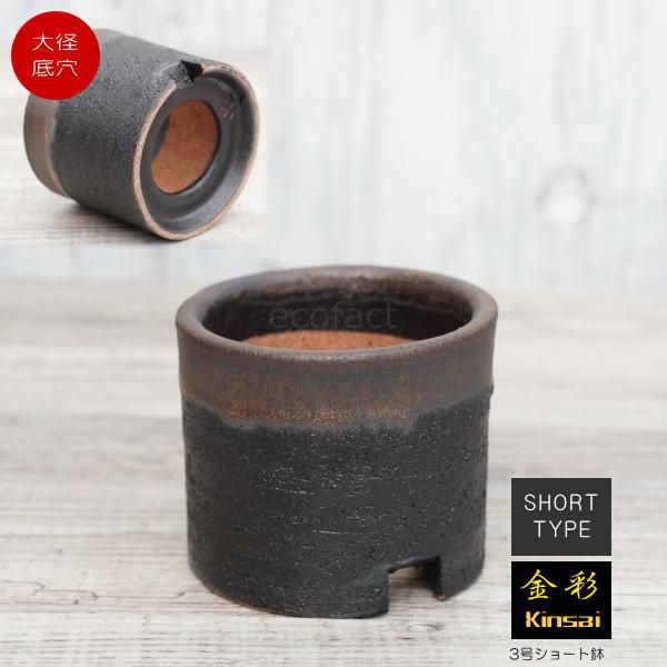 信楽焼 プランター 陶器鉢 植木鉢 3号ショートタイプ 筒型 金彩 ゴールド/ブラック