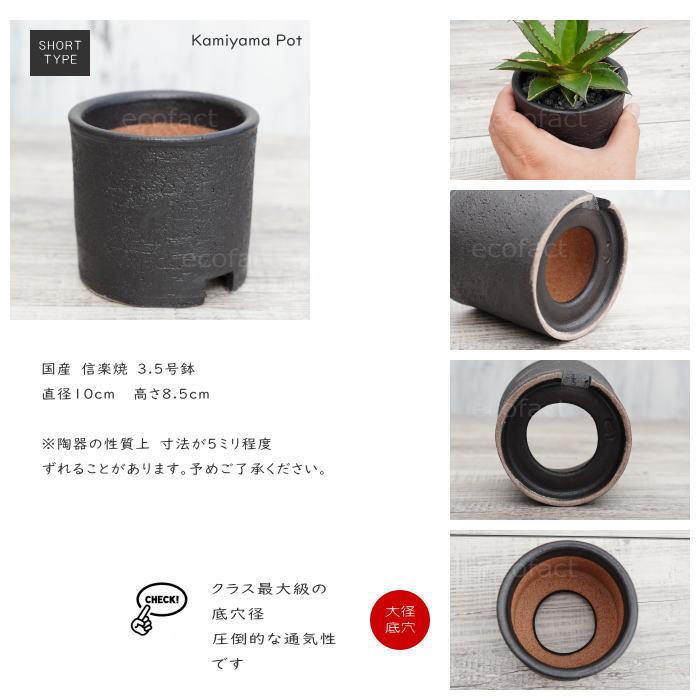 堤焼　植木鉢 陶器鉢 植木鉢 3.5号ショートタイプ 筒型 ブラック 艶消し黒 おしゃれ