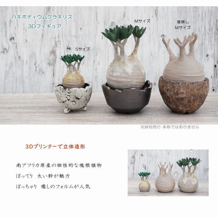 フェイクグリーン 3D フィギュア グラキリス パキポディウム フェイクグリーン 3D フィギュア グラキリス パキポディウム