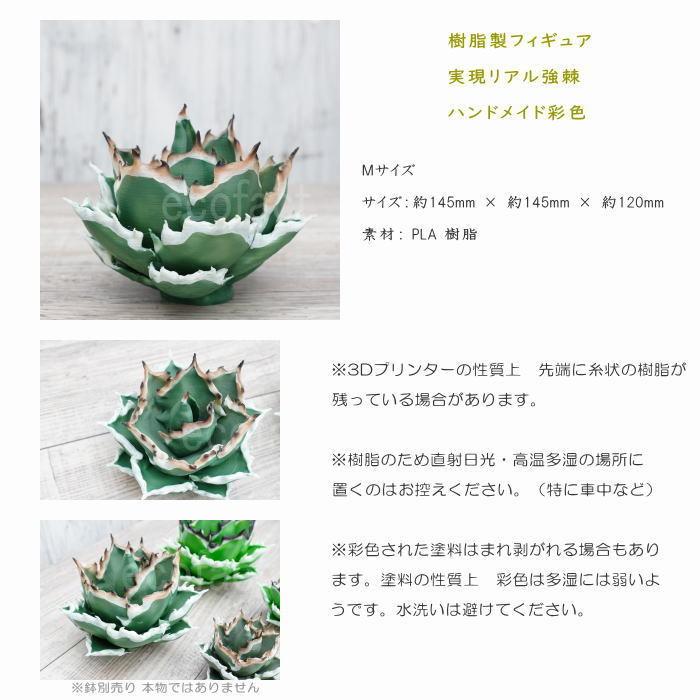 フェイクグリーン 3D フィギュア アガベ チタノタ Mサイズ φ145mm