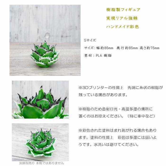 フェイクグリーン 3D フィギュア アガベ チタノタ ブラックファイヤー