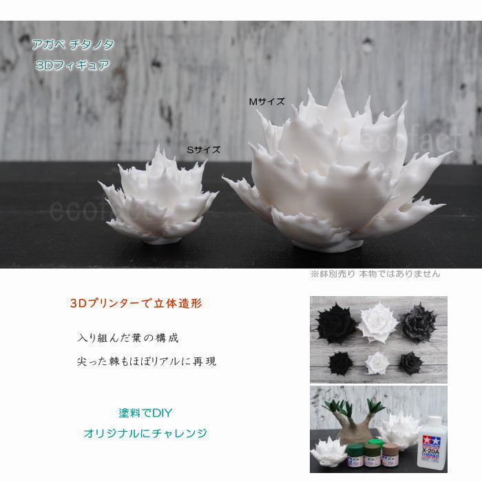 フェイクグリーン 3D フィギュア アガベ チタノタ モノトーンver