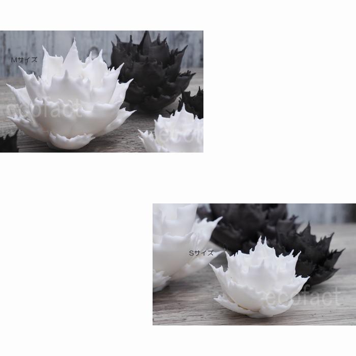 フェイクグリーン 3D フィギュア アガベ チタノタ モノトーンver