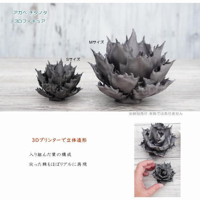 フェイクグリーン 3D フィギュア アガベ チタノタ モノトーンver. 焼鉄