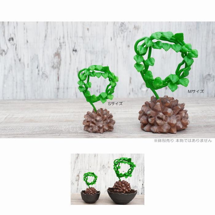 フェイクグリーン 3D フィギュア 亀甲竜 丸型 Mサイズ 195mm キッ