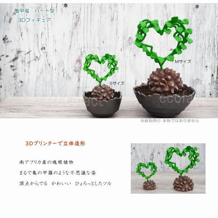 フェイクグリーン 3D フィギュア 亀甲竜 丸型 ハート型 Mサイズ