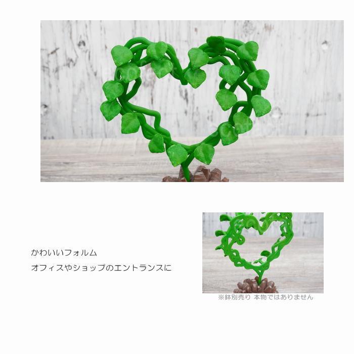 ご予約品(緑線シール)ラブ♥ハート抜き苗 フェイクグリーン 3D フィギュア 亀甲竜 丸型 ハート型 Mサイズ