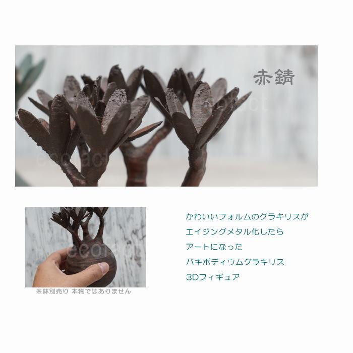 フェイクグリーン 3D フィギュア パキポディウム グラキリス 赤錆